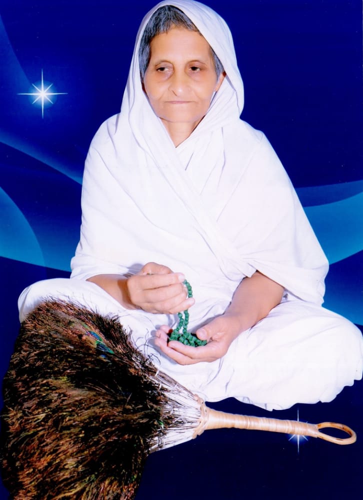 आर्यिका श्री वीरनन्दिनी माताजी